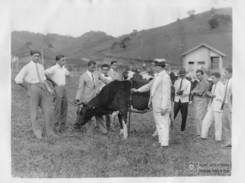 Open original Objeto digital