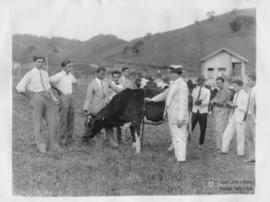Aula prática de Veterinária
