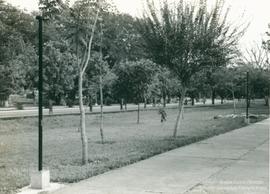 A161 (1)