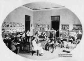 Aula prática de anatomia de esqueletos de animais domésticos