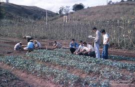 Uremg e Viçosa -1963 - 1965 (12)