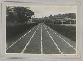 Imagem 11