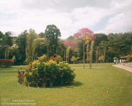 Cores do Campus