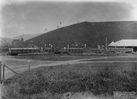 Open original Digital object