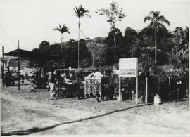 Exposição de produtos agrícolas