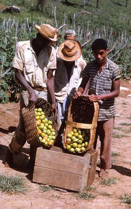 Uremg e Viçosa -1963 - 1965 (21)