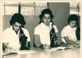 Atividades em laboratório 01