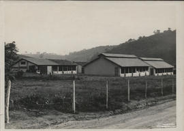Aviário da Zootecnia