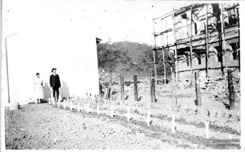 Open original Digital object