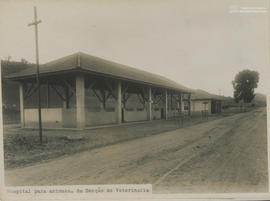 Imagem 06