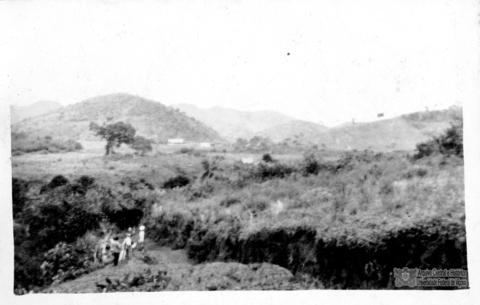 Open original Digital object