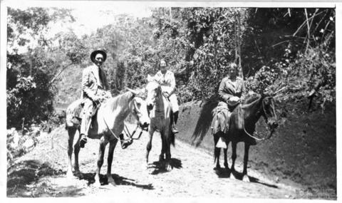 Open original Digital object