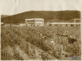 Vista parcial da região central do Campus da ESAV