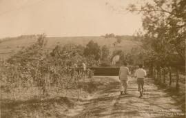 Campo de experimentação 10