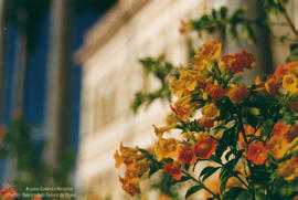 A flor do prédio principal