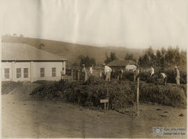 Estrumeira prática para produção de fertilizantes naturaisEstrumeira prática para produção de fer...