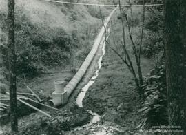 C123 (1)