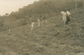 Imagem 19