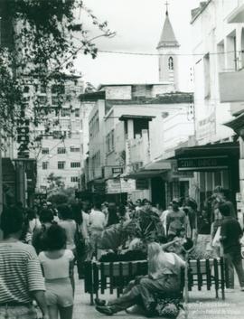 Viçosenses 13