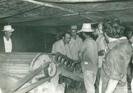 Dia de Campo: Manejo do feijão