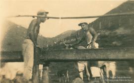Campo de experimentação 01