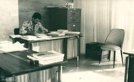 Professor do Departamento de Engenharia Florestal
