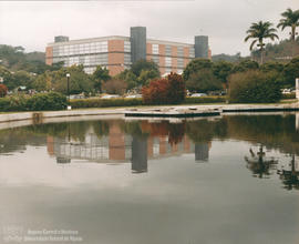 Reflexo (3)