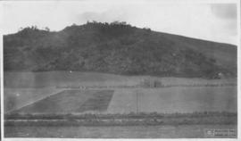 Vista parcial área central do Campus da ESAV