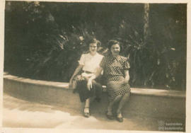Familiares e conhecidos 32