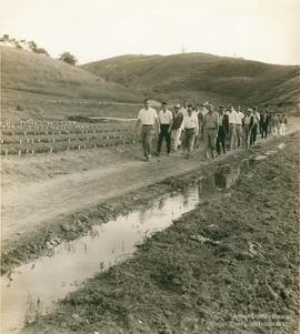 Campo de experimentação, cultivo e produção 01