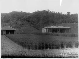 Campos de experiência e instalações