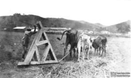 Uso do “triângulo” no nivelamento do solo