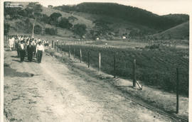 Imagem 04