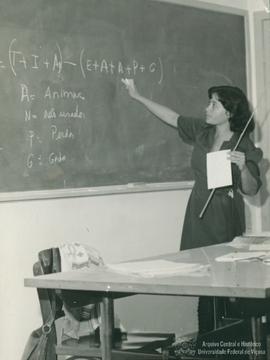 C338 (2)