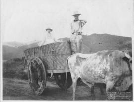 Clarissa Rolfs no carro de boi