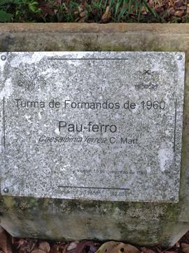 image 01