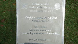 Árvore de 2004/I (01)