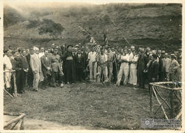 Árvore de 1931/II (01)