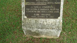 Árvore de 1978/II (03)