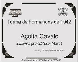Árvore de 1942/II (01)