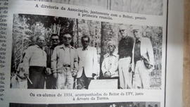 Árvore de 1934/II (03)
