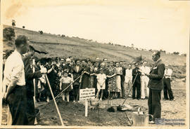 Árvore de 1936/II