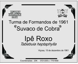 Árvore de 1961/II (02)