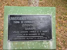 Árvore de 1984/lI (02)