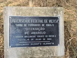 Árvore de 1984/I (02)