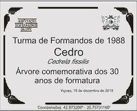Árvore de 1988/II (02)