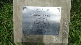 Árvore de 1984 - II Comemorativa - Vinhático - Silvicultura