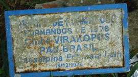 Árvore de 1978/II (01)