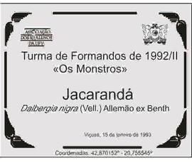 Árvore de 1992/II (01)