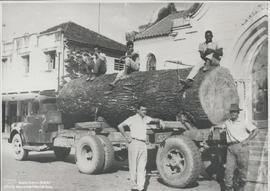 AF05Image(19)